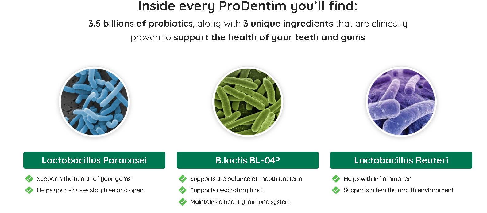 Screenshot 2025-12-27 224150